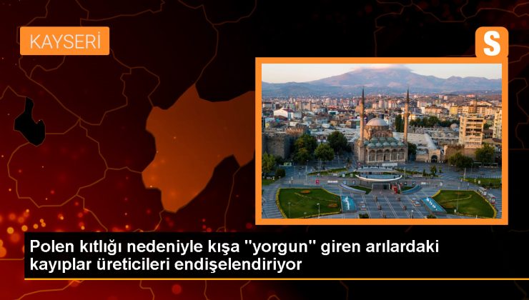 Polen Kıtlığı ve Hastalıklar Nedeniyle Arı Kovanlarında Kayıplar Yaşanıyor