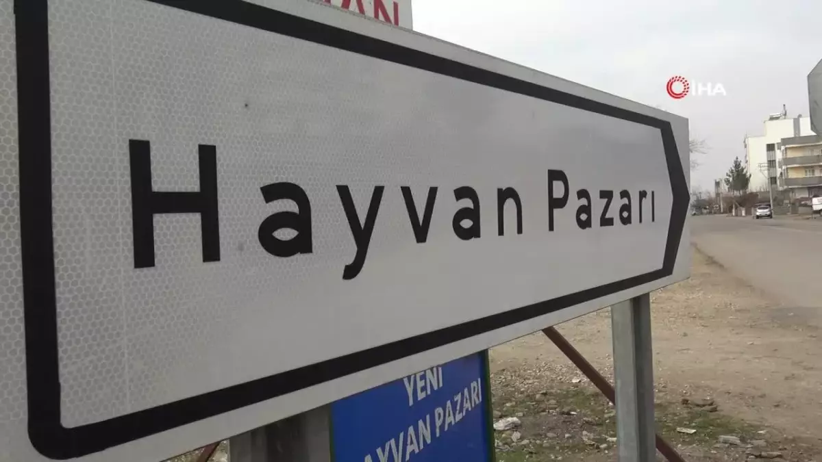 Siverek’te Hayvan Pazarı 15 Gün Kapatıldı